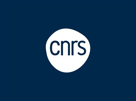 CNRS: Notre cerveau, la mémoire
